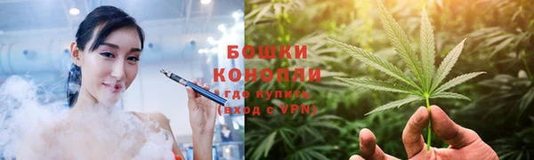 прущие грибы Алексеевка