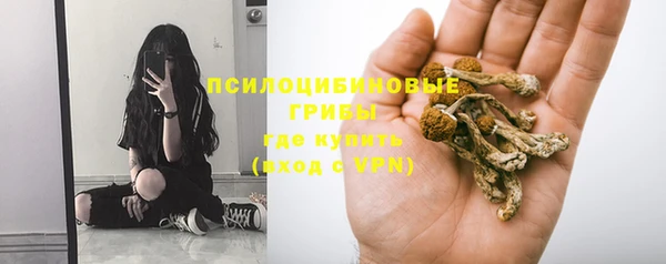 прущие грибы Алексеевка