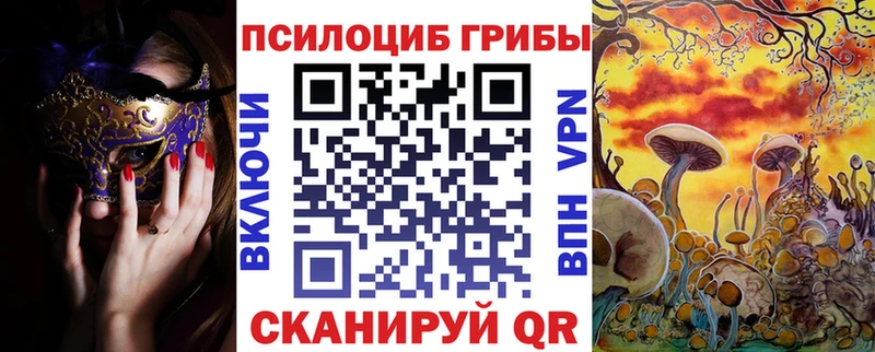 купить   Жирновск  Псилоцибиновые грибы MAGIC MUSHROOMS 